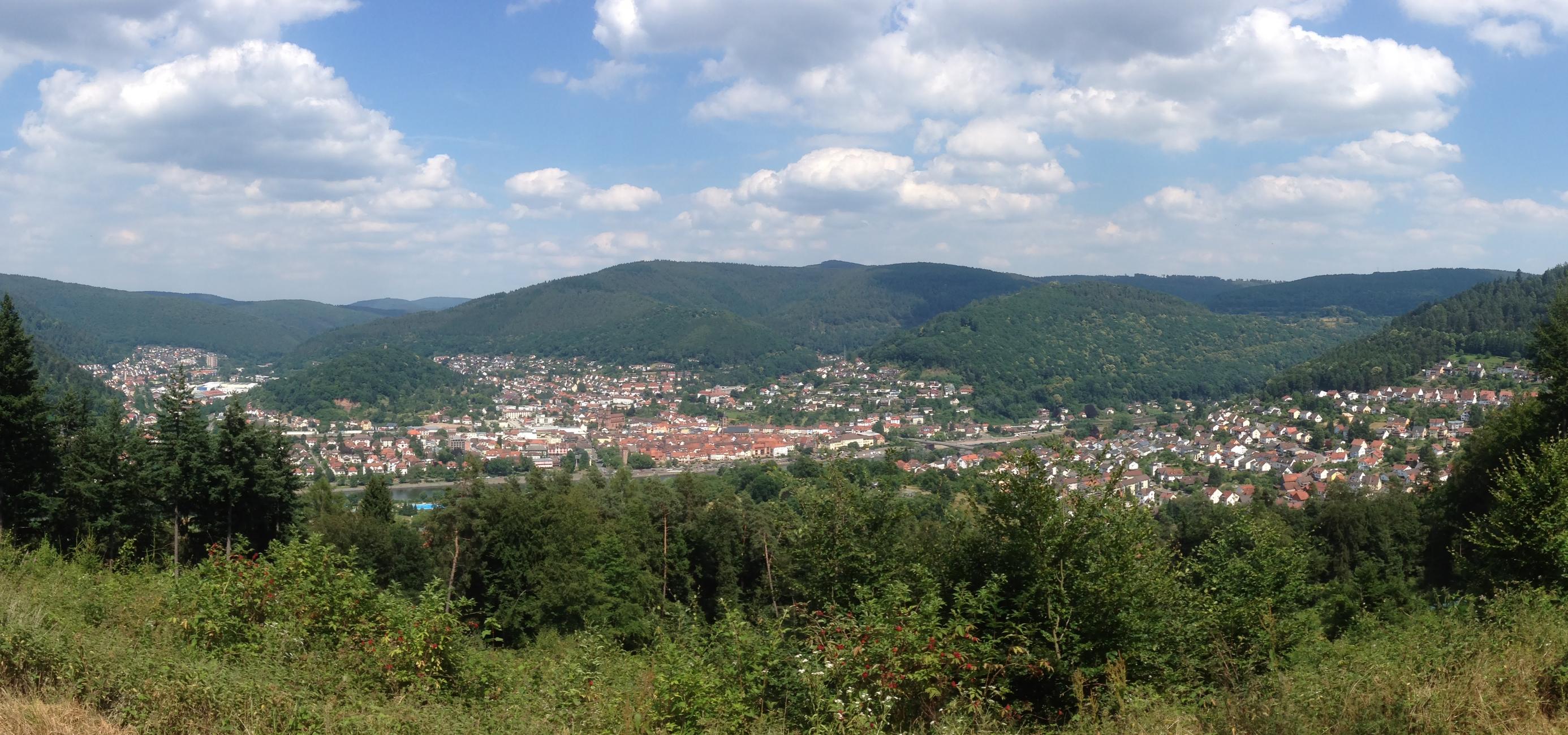 Blick über Eberbach und das Neckartal